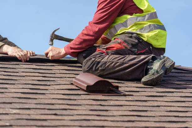 Best Local Roofing Companies  in Niwot, CO